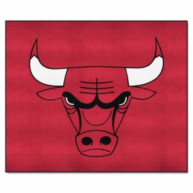 NBA - Chicago Bulls Tailgater Rug 5'x6'